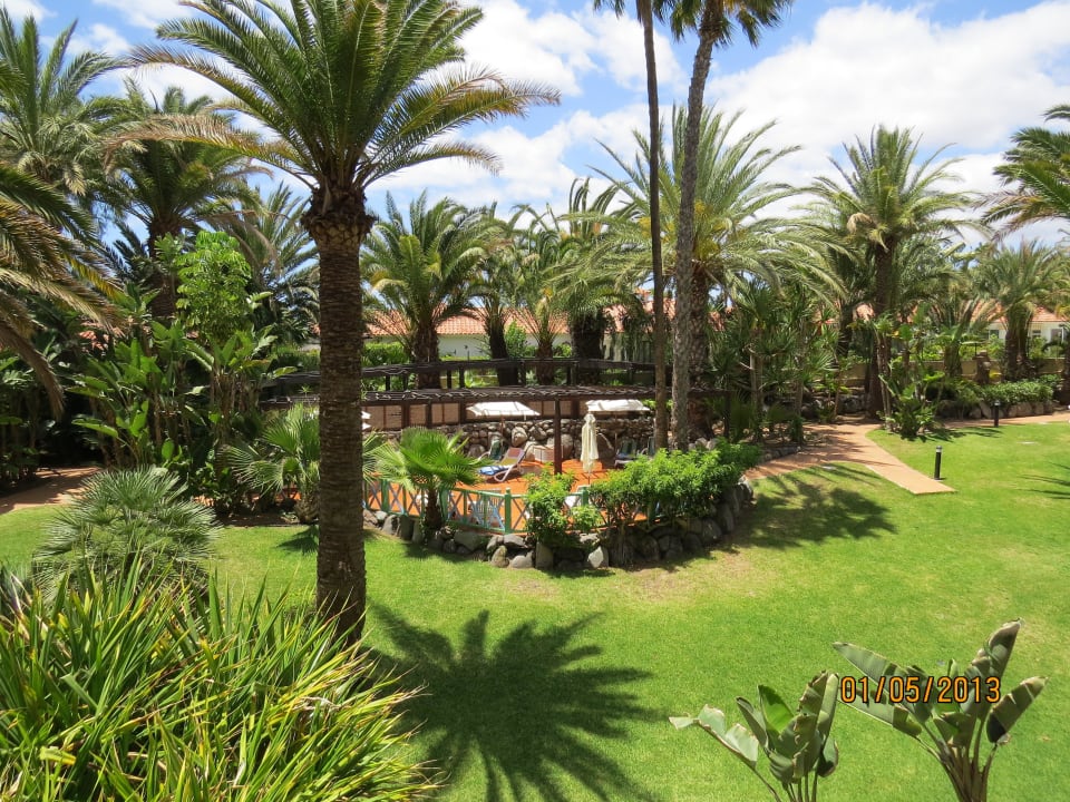 Garten vom Balkon Abora Catarina by Lopesan Hotels