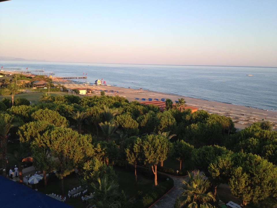 Вид из номера Club Turtas Beach Hotel