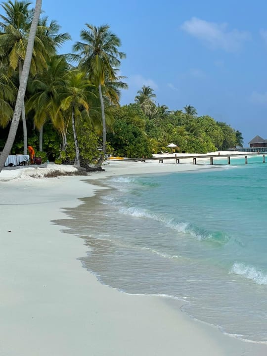 Strand Mirihi Island Resort