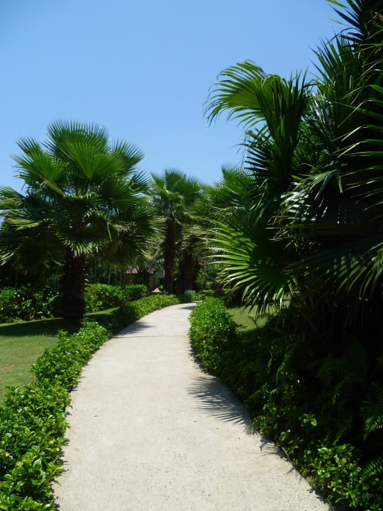 Wege zu den Zimmern Palm Garden Beach Resort & Spa