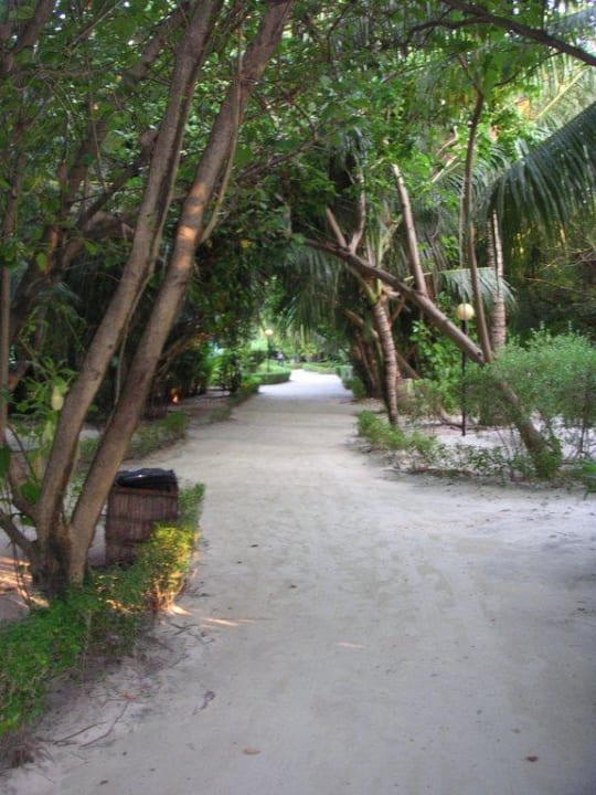Gartenanlage Cinnamon Dhonveli Maldives