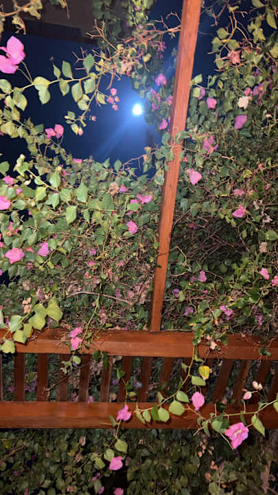 Ausblick Steigenberger Coraya Beach - Adults only