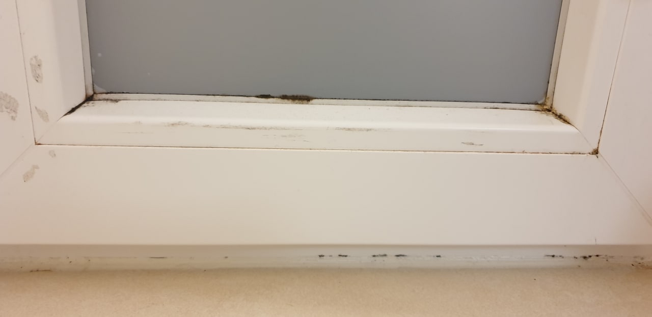 Zimmer Center Parcs Park Bostalsee