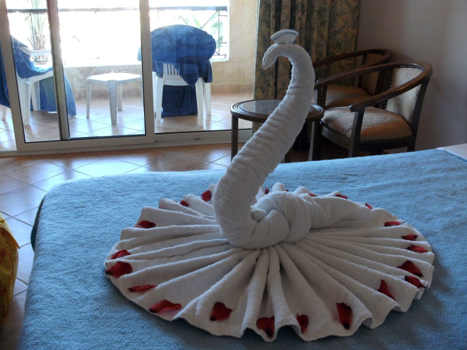 Schwan Utopia Beach Club