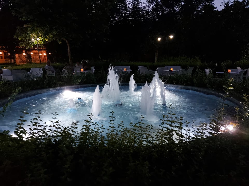 Pool Can Garden Beach