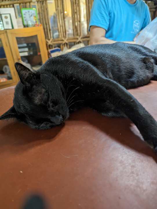 Lobby Coral Grand Resort Koh Tao