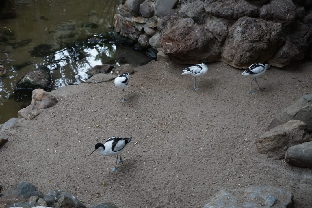 Lobby Center Parcs Het Meerdal