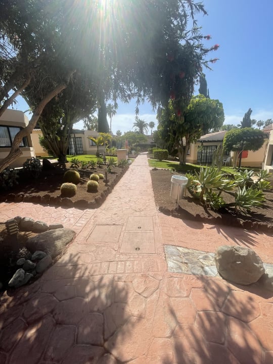 Gartenanlage allsun Hotel Esplendido