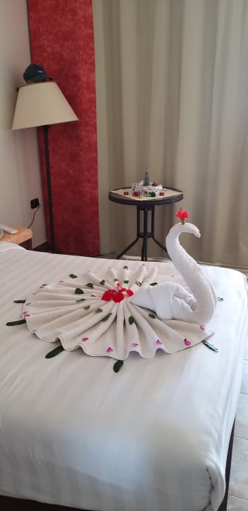 Zimmer Three Corners Equinox Beach Resort