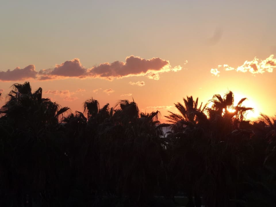 Ausblick Royal Alhambra Palace