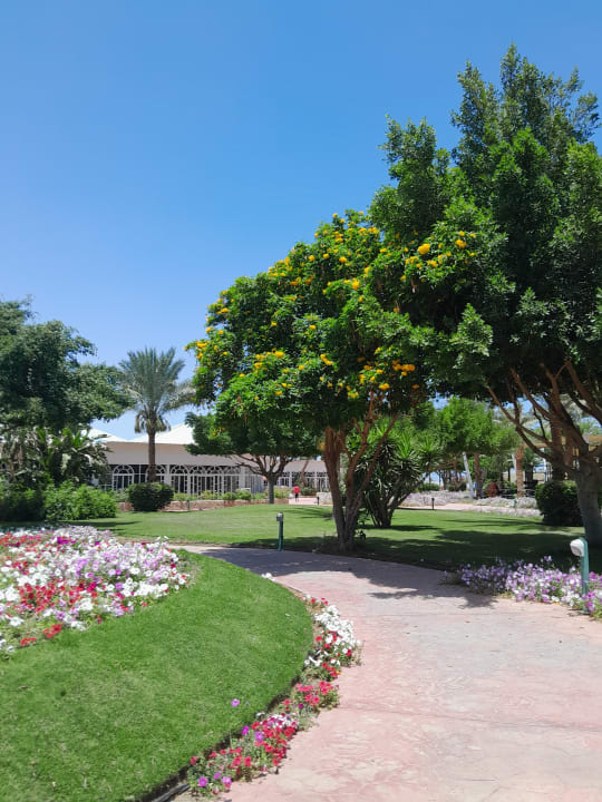 Gartenanlage Desert Rose
