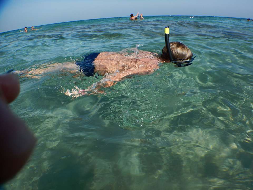 Wakacje Pickalbatros Alf Leila Wa Leila Resort - Neverland Hurghada