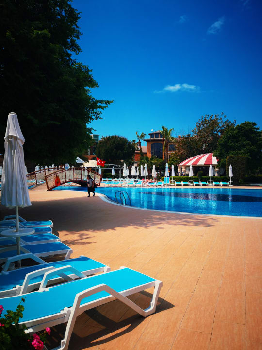Pool Palmeras Beach Hotel