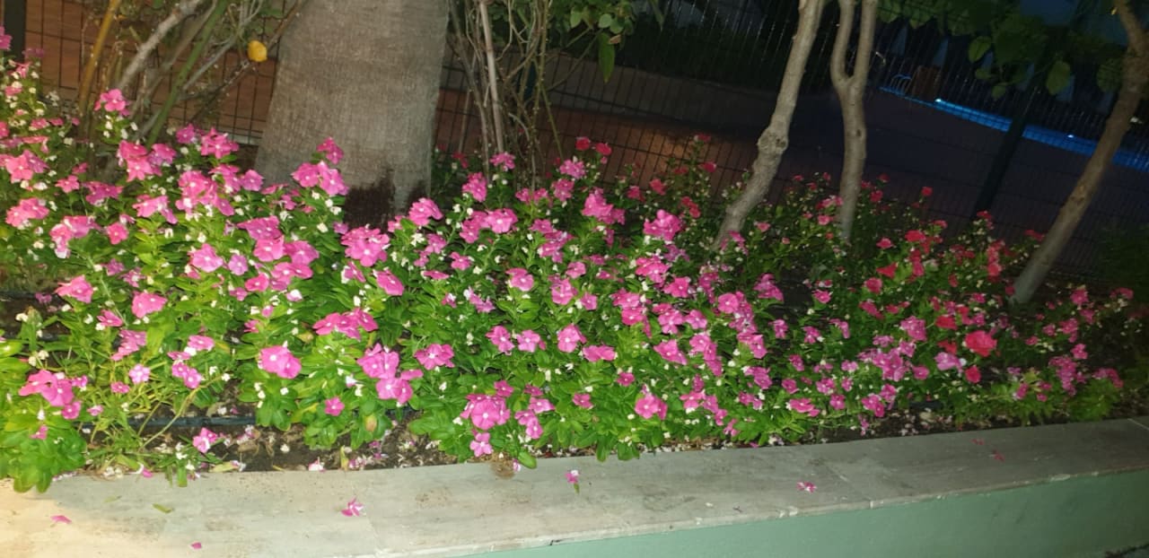 Gartenanlage VONRESORT Golden Coast