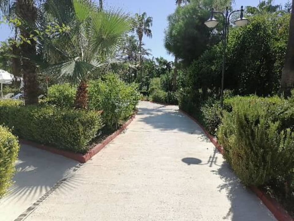 Gartenanlage Saphir Resort & Spa