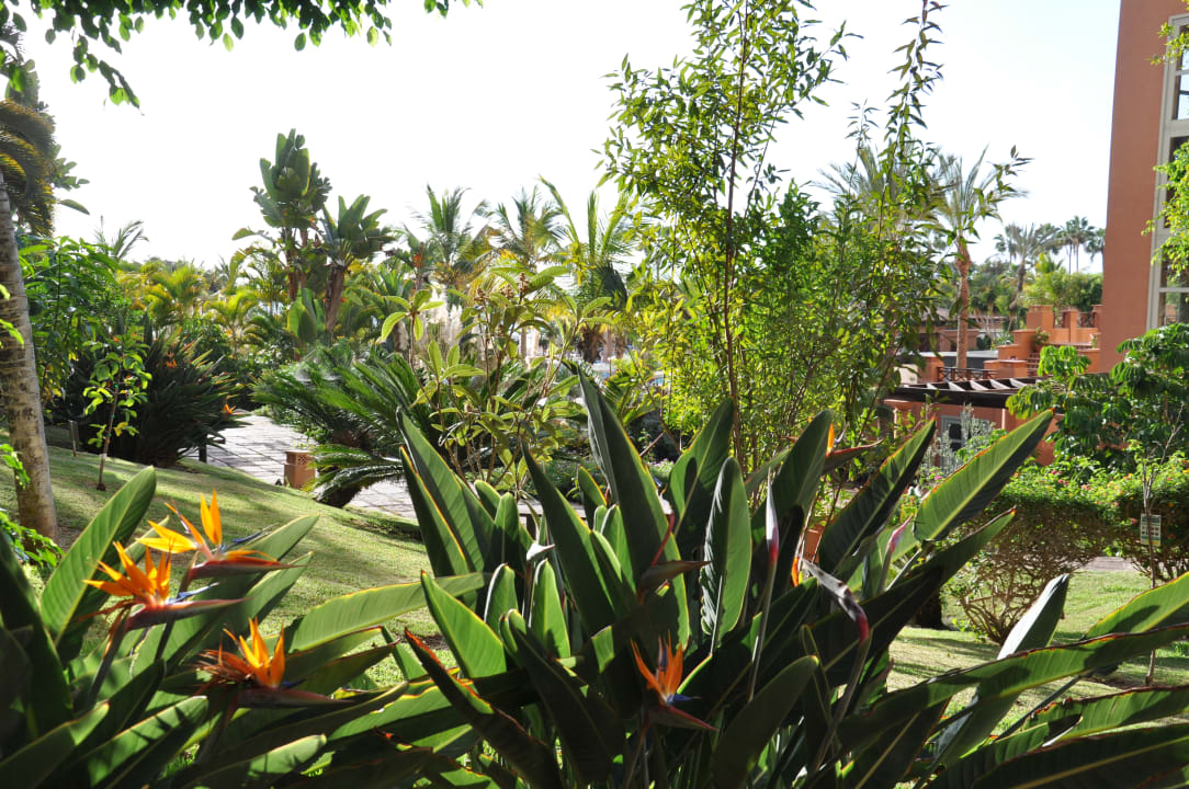 Ausblick H10 Costa Adeje Palace