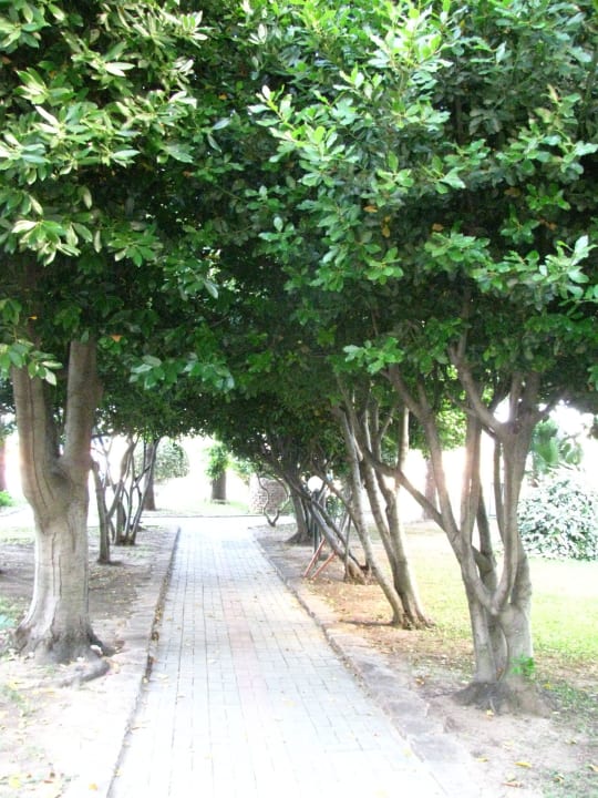 Отель MC Beach Park Resort Hotel