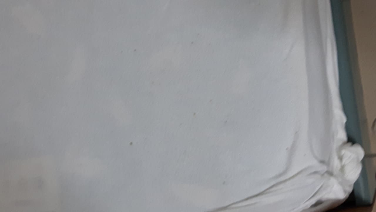 Zimmer Hotel Corina & Paloma Garden