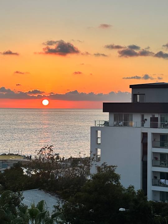 Zimmer Rubi Platinum Sign