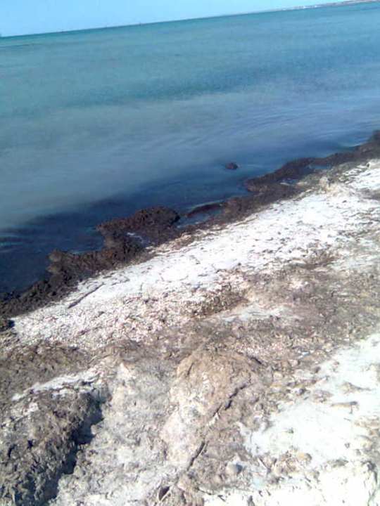 Algen-Strand Hotel Bravo Djerba