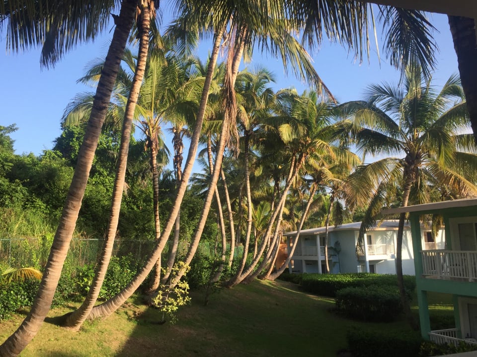 Ausblick vom Balkon Playabachata Hotel