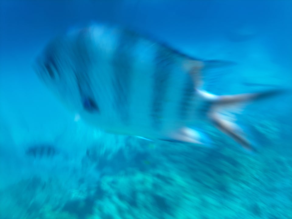 Sport & Freizeit Titanic Beach Spa & Aqua Park