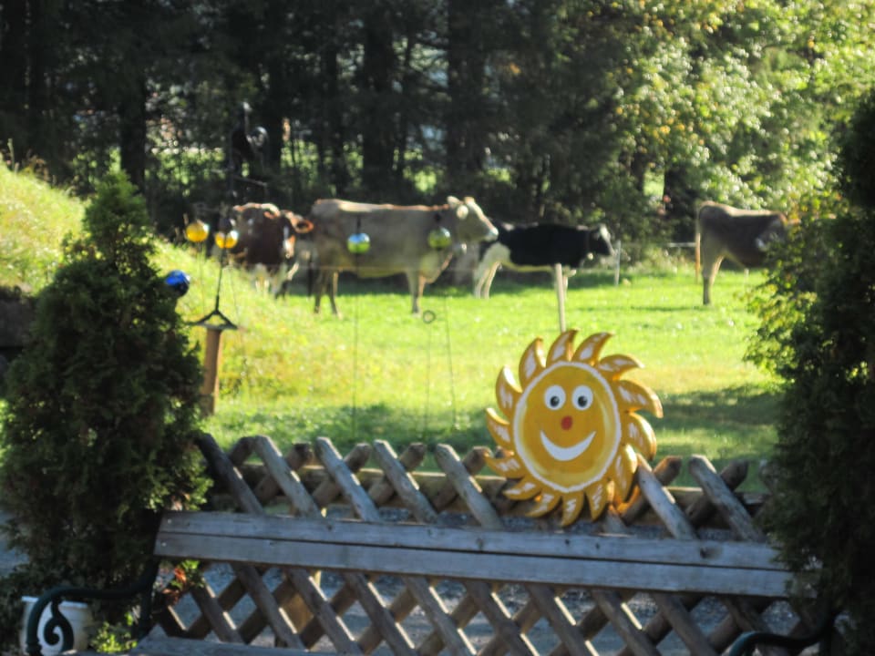 Garten Pension & Ferienwohnung Solaria