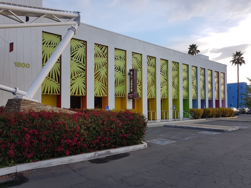Außenansicht Joie de Vivre Hotel The Saguaro Palm Springs