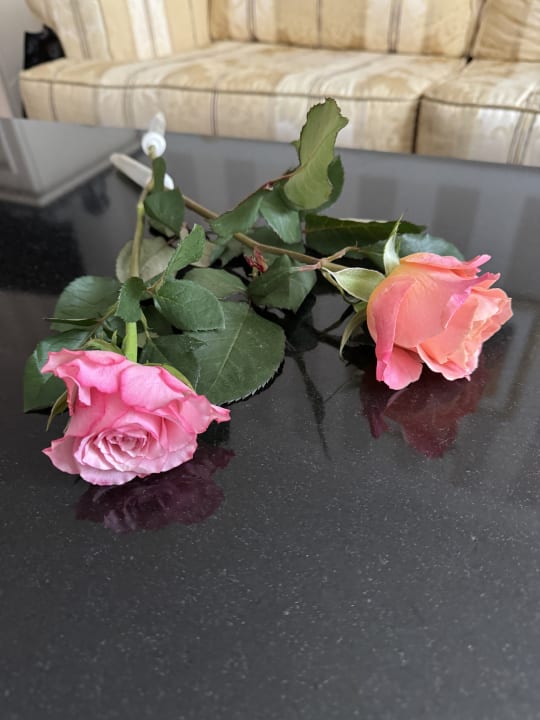 Sonstiges Hotel Vier Jahreszeiten Kühlungsborn