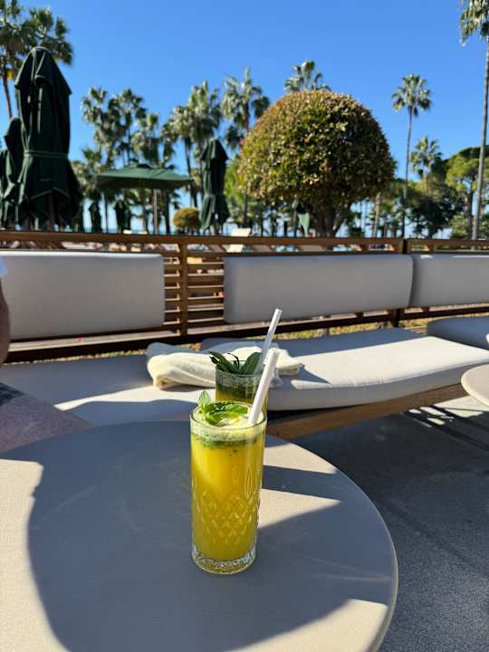 Sonstiges Acanthus Cennet Barut Collection