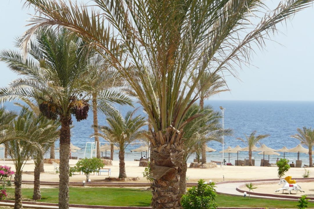 Holiday beach resort Three Corners Sea Beach Resort