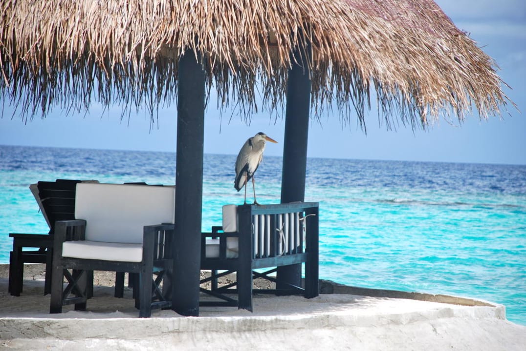 Traumhaft Sun Siyam Olhuveli