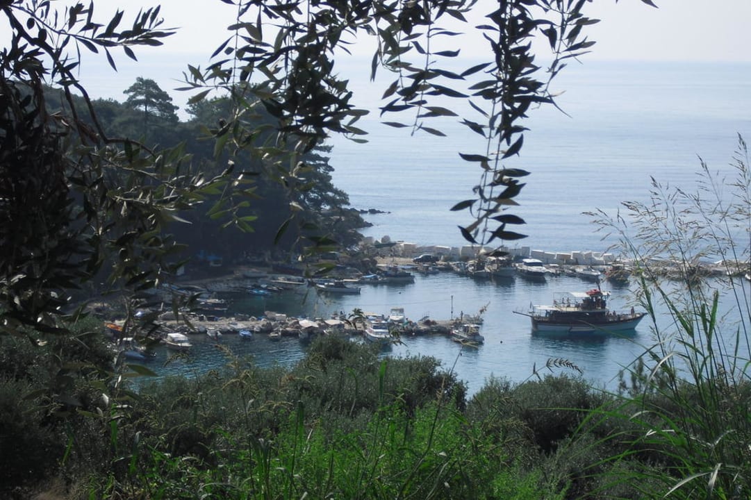 Blick auf den kleinen Fischerhafen Hotel Dionysos