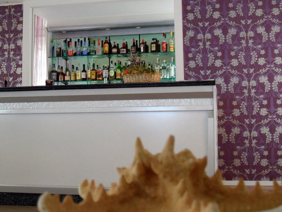 Bar TUI Blue Puntamare