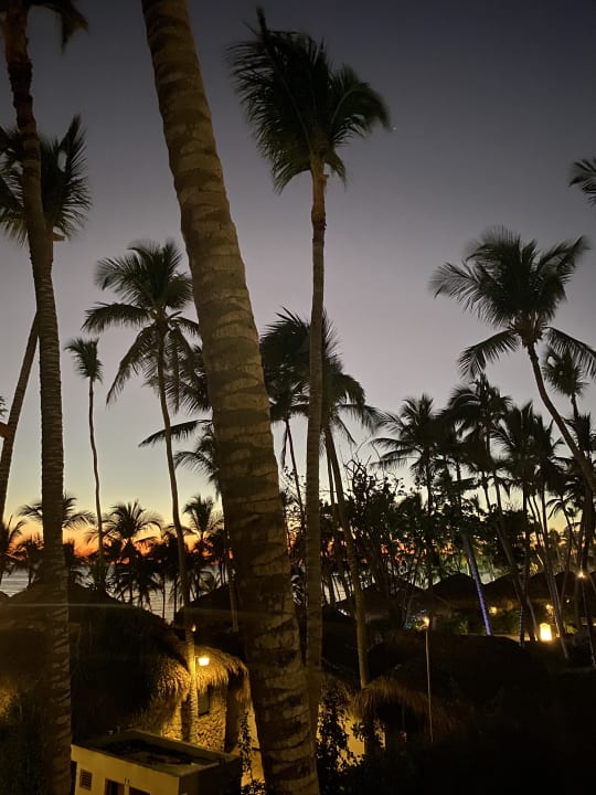 Ausblick Hotel Viva Dominicus Beach by Wyndham - All Inclusive Resort