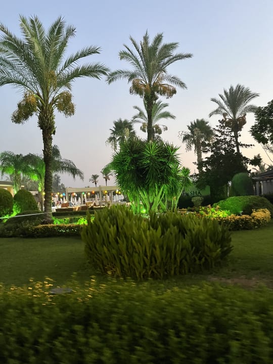 Ausblick Sunis Elita Beach Resort & Spa