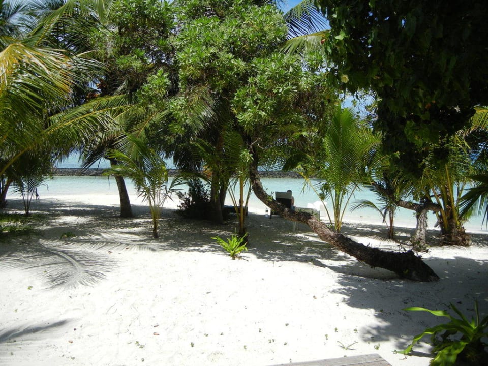 Deluxe Beach Villa 332 - Blick auf den Strand Kuramathi Maldives