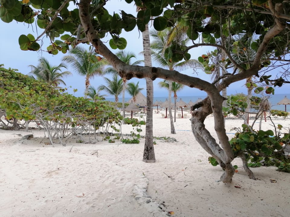 Strand Bahia Principe Luxury Akumal