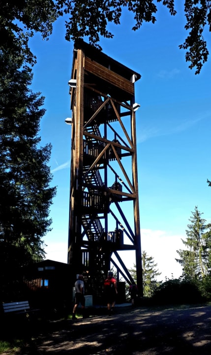 Ausblick Hotel zur Moselbrücke