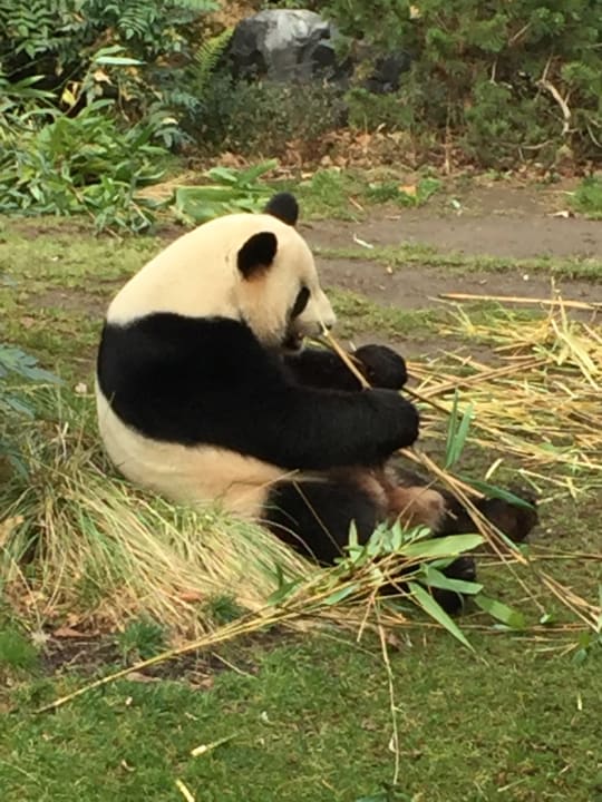 Gartenanlage Hampton by Hilton Berlin City West