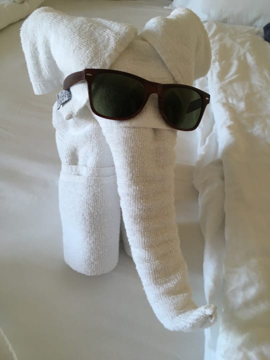 Zimmer Hotel Bilyana Beach