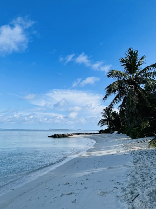 Strand Summer Island Maldives
