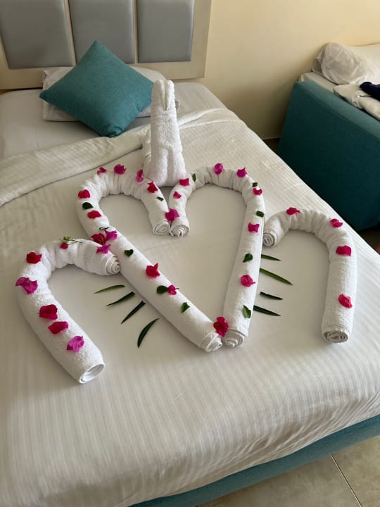 Zimmer Tropitel Sahl Hasheesh