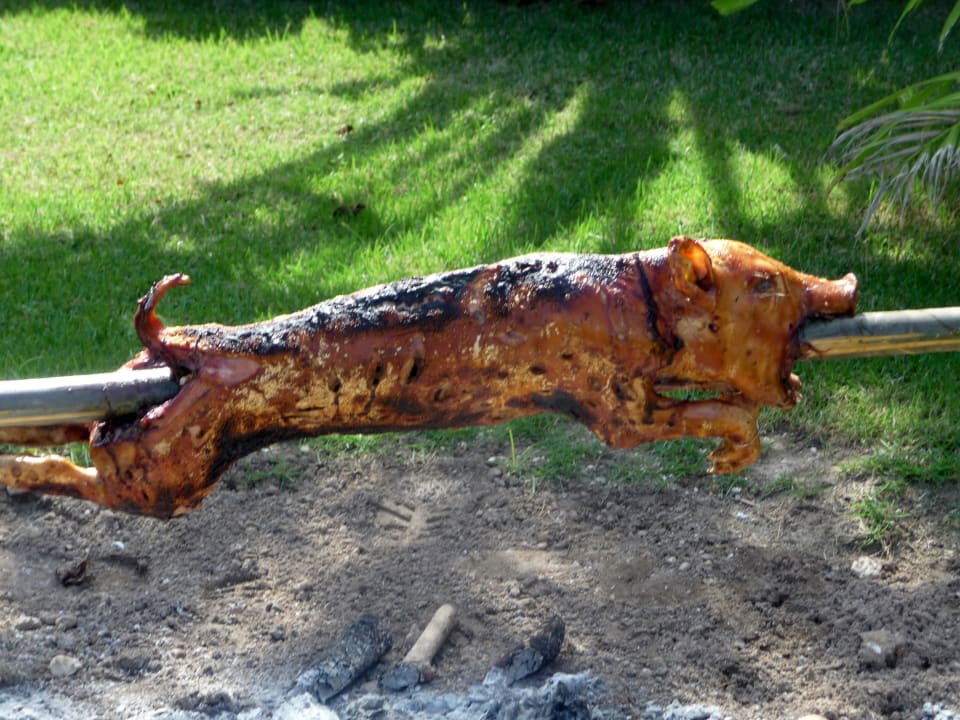 Karibisches Büffet Catalonia Royal Bavaro - Adults only