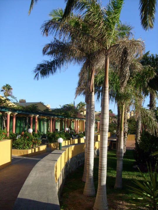 Blick auf die Bungalows Hotel Vista Golf