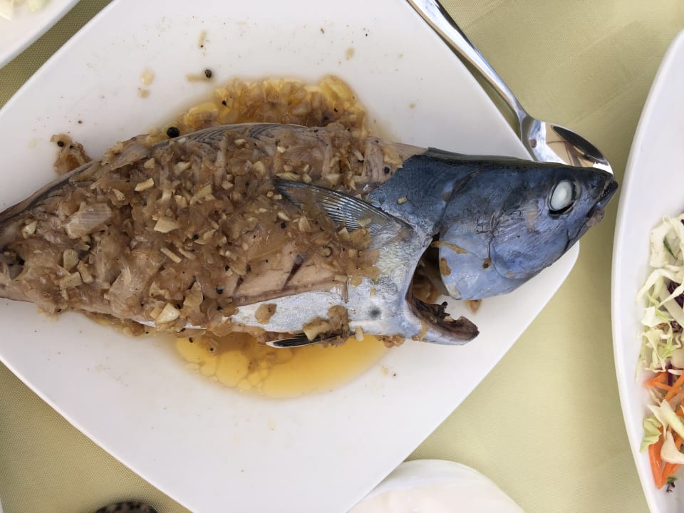 Gastro Safari Island Maldives