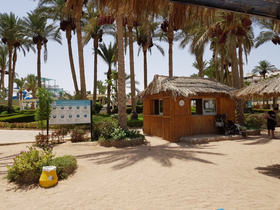 Strand Regina Resort and Aqua Park Hurghada