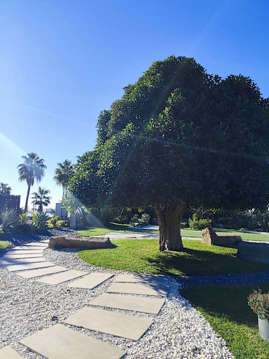 Gartenanlage Paloma Finesse