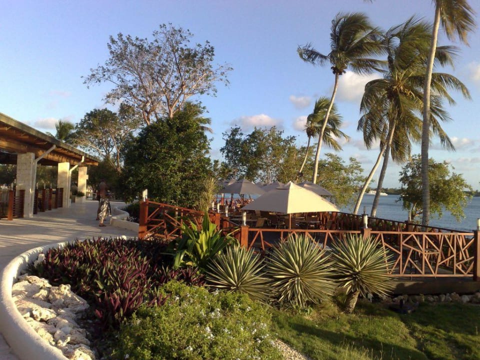 Terrasse Dreams La Romana Resort & Spa