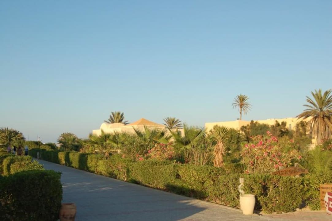 Weg zum Hotelstrand TUI MAGIC LIFE Penelope Beach